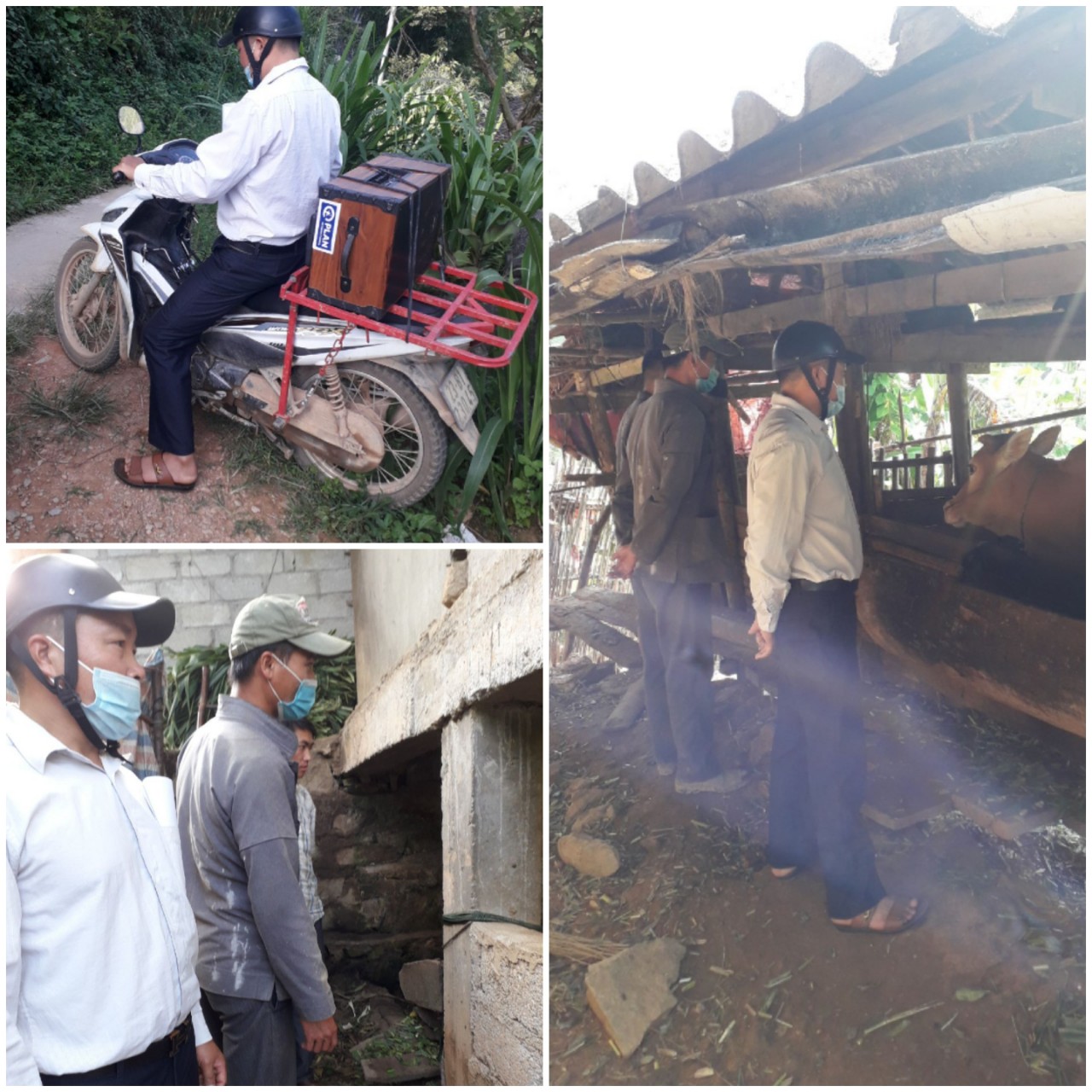 Cán bộ phụ trách thôn Sủng Khể xã Lũng Chinh thực hiện tiêm phòng vacxin và tuyên truyền tại thôn công tác phòng chống dịch bệnh viêm da nổi cục ở đàn trâu, bò.